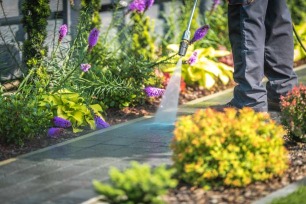Best Winterizing Services  in Sudley, VA